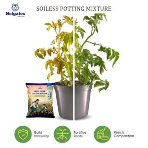 Soilless Potting Mix for Plants | Ready-to-Use, Lightweight Blend | Ideal for Healthy Growth of Indoor & Outdoor Plants - Image 4