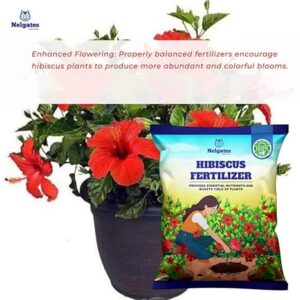 Nelgates Hibiscus Plant Fertilizer | Flower Booster & Root Care | Promotes Healthy Growth & Vibrant Blooms | Enriched with Essential Nutrients | Ideal for Garden & Potted Plants - Image 5