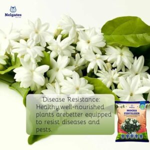 Nelgates Organic Mogra Fertilizer for Plants | Premium Jasmine Fertilizer for Abundant Flowering & Fragrance | Flower Booster for Home Garden, Indoor & Outdoor Plants - Image 5