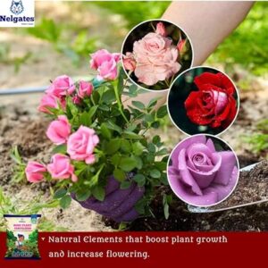 Nelgates Organic Rose Plant Fertilizer | Home Garden Flower Booster | Supports Healthy Growth & Lush, Colorful Blooms Naturally - Image 4