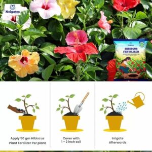 Nelgates Hibiscus Plant Fertilizer | Flower Booster & Root Care | Promotes Healthy Growth & Vibrant Blooms | Enriched with Essential Nutrients | Ideal for Garden & Potted Plants - Image 4