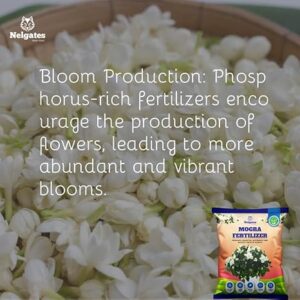 Nelgates Organic Mogra Fertilizer for Plants | Premium Jasmine Fertilizer for Abundant Flowering & Fragrance | Flower Booster for Home Garden, Indoor & Outdoor Plants - Image 3