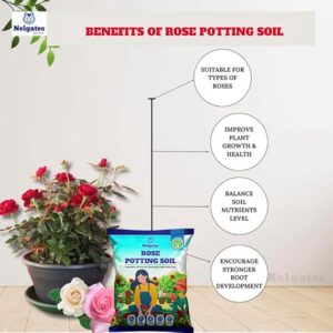 Premium Potting Soil Mix for Rose and Flowering Plants | Enriched with Growth Promoters and Flower Boosters | Organic and Well-Drained - Image 2