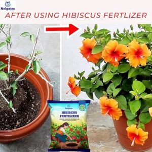 Nelgates Hibiscus Plant Fertilizer | Flower Booster & Root Care | Promotes Healthy Growth & Vibrant Blooms | Enriched with Essential Nutrients | Ideal for Garden & Potted Plants - Image 3