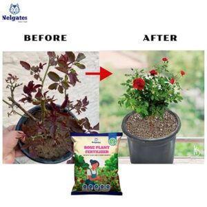Nelgates Organic Rose Plant Fertilizer | Home Garden Flower Booster | Supports Healthy Growth & Lush, Colorful Blooms Naturally - Image 2