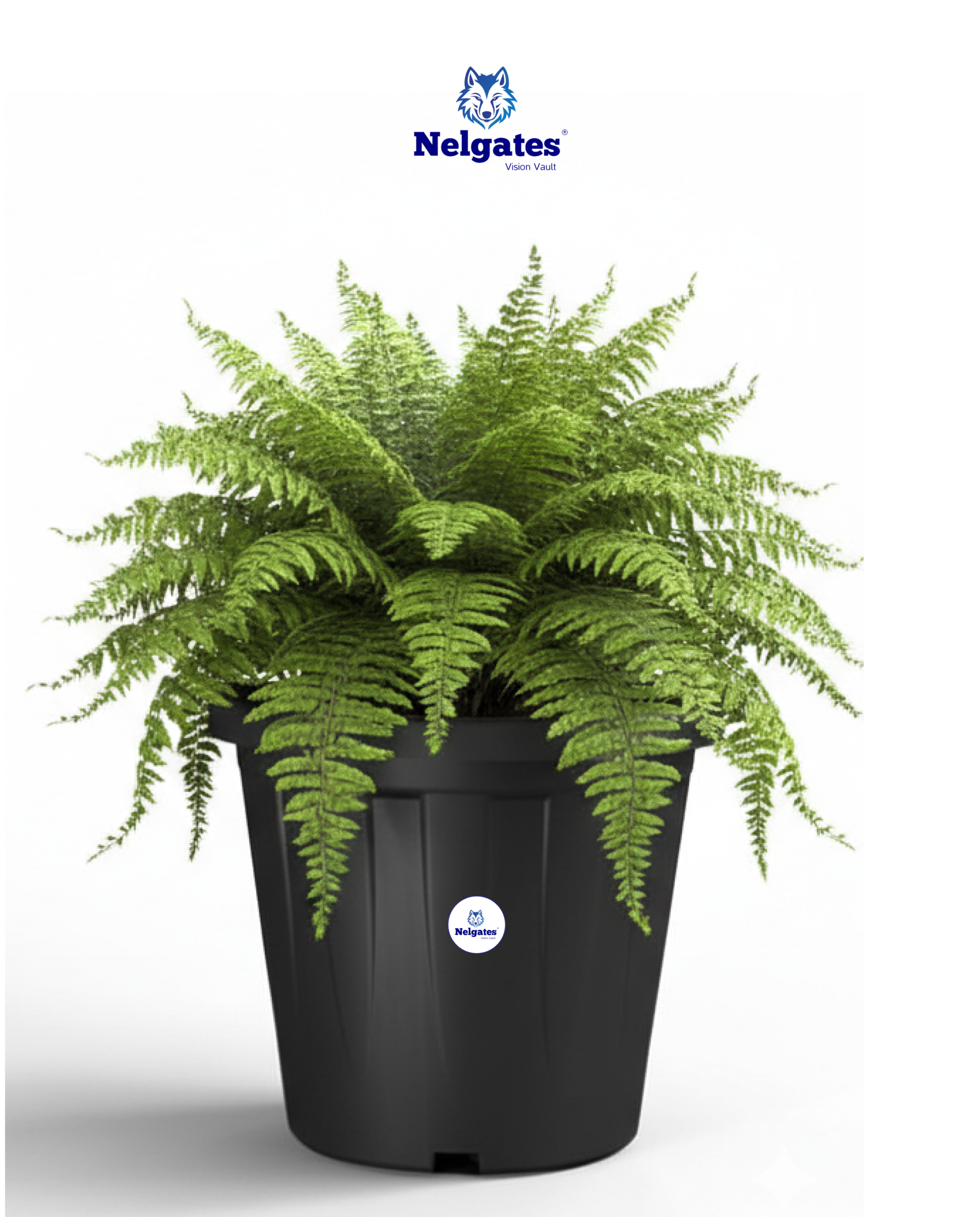 SHERA Crown 12 INCH Planter Pack of 6 Nursery pots Set Plastic Planter for Plants Nursery Seedling Germination pots Flower Pots for Balcony (Black)